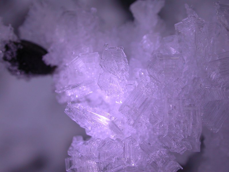 Winter in Bohinj, Slovenia - 12.JPG